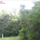 내가면-4 이미지