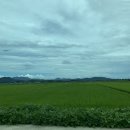 용곡2리 이미지