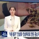홍삼표 네이버블로그