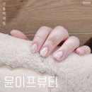 윤이프