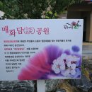 원동마을길 이미지