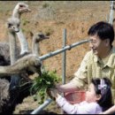 새인농장 이미지