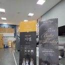 라이트모티브 - 수원시 영통구 대학1로 51-1 | 국립발레단 수요발레살롱 ‘지젤’ 진행 후기, 잊지 못할 순간들