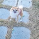 경주 수약국 이미지