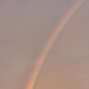 무지개훈련소 이미지