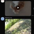 댕댕아 학교가자 이미지