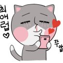 용쌤필라테스앤요가
