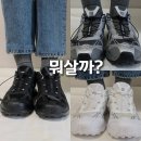 락 트레이닝 | 살로몬 위스퍼 블랙 vs 실버 vs 루나락 뭐살까? 직접 신어보고 고른 TOP3