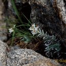 지천소공원 이미지