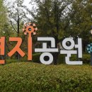 김해, 연지공원의 튤립과 벚꽃 이미지