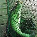 신진좌대 이미지