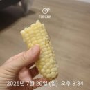 두호텔 | 여자혼자여행 안전한 숙소 청초호 근처 두호텔 내돈내산 후기