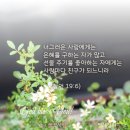 잠언19장 말씀카드 꽃사진에성구한절 생명의말씀 내인생의나침반 이미지