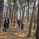 용인신릉중학교 이미지