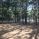 속리산세차장 이미지