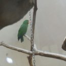 고니농장 이미지