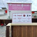 댕스파크 이미지