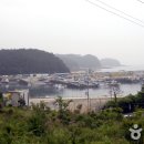 모항자연산횟집