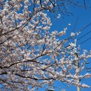 서호동-8 이미지