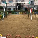 대림초교 병설유치원 이미지