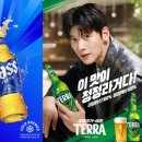 테라 이미지