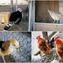 알이랑농장 이미지