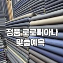 필라루아 이미지