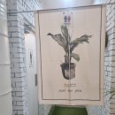 파티오6747 이미지