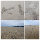 풀등민박 이미지