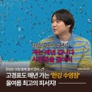 조이풀(Joy Pool) | [공지] 5000원으로 누리는 도심 속 피서… 한강 수영장 6곳 문 열었다!