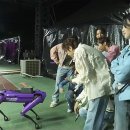 (주)보행글로벌 이미지