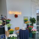 리비에르(Riviere) 이미지