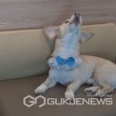 오영농장 이미지