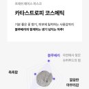 카라스페이스 네이버블로그