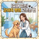 청산동물병원 | [실패 없는] 강아지 병원 고르는 법, 유목민 생활 청산하고 정착한 비결 5가지!