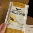 네이처후레쉬 - 양주시 광적로326번길 50-61 | 먼지다듬이 퇴치법 핵심정리 ! 네이처커넥트 먼다 트랩으로 싹 없애기