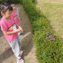 덕수농원 이미지