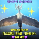 카페등급 플레티넘 6단계 상승~ 이미지