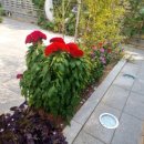 오색뜰 화장실 이미지