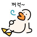 아비꼬신사가로수길점