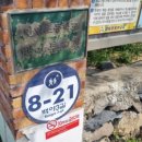 안일초등학교백야분교장 이미지