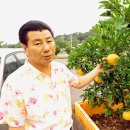 부활농장 이미지