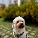 온맘의료기 이미지