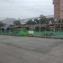 늘봄세차장 이미지