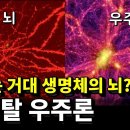 유일열쇠 이미지