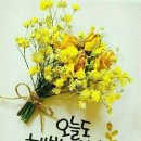 편안한 밤 되세요 이미지