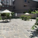 플레지르 이미지