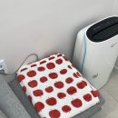 봉자속눈썹 | 속초 속눈썹펌 잘하는 곳, 봉자속눈썹 방문 후기 (임산부도 편안했어요)