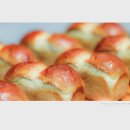 빠띠시에 이미지