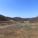 야생초마을아미골 이미지